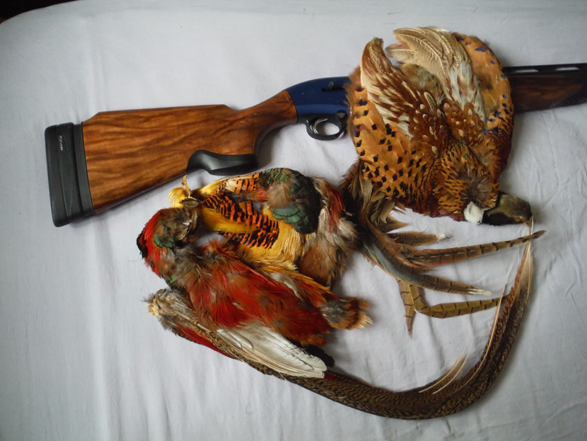 Sporting game birds still supply much of the fly dresser's needs